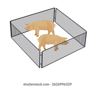 Pigs in farmland. vector illustration