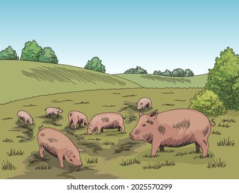 Pigs feeding grass on the hill graphic color sketch illustration vector