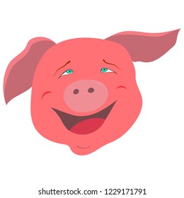 Pig's funny face