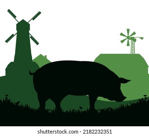 Pigs graze in pasture. Picture silhouette. Farm pets. Rural landscape with farmer house. Animals for meat and fat. Isolated on white background. Vector.