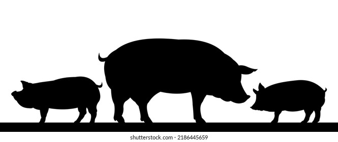 Pigs graze in pasture. Picture silhouette. Farm pets. Animals for meat and fat. Isolated on white background. Vector.