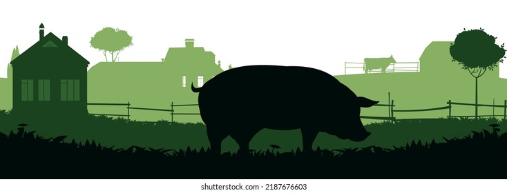 Pigs graze in pasture. Picture silhouette. Farm pets. Rural landscape with farmer house. Animals for meat and fat. Isolated on white background. Vector.