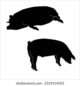 Pigs have been a part of human culture and agriculture for thousands of years. They are not only valued for their meat but also for other products derived from them, such as leather and lard. 