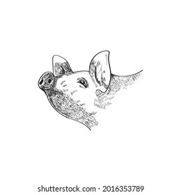Schweinekopfzeichnung. klassisches Thema Schweinekopfbild, Vektorgrafik