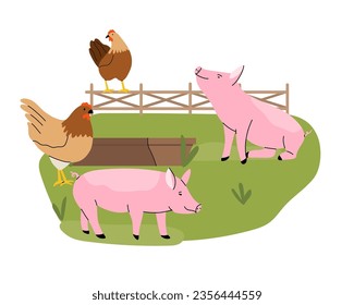 Pigs and hens feeding. Pig and hen eating from trough. Hand drawn funny contemporary drawing farm animals. Rural landscape. Bird and mammal, green grass, cartoon flat isolated vector illustration