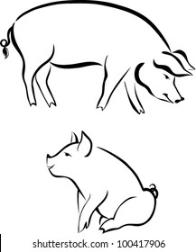 Pigs  isolated on a white background