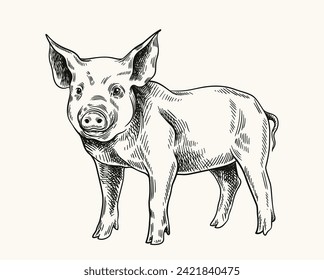 Pigs linear drawing. Minimalistic creativity and art, pencil sketch. Cattle from farm, domestic animal. Adorable piglet. Hand drawn flat vector illustration isolated on white background