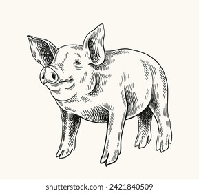 Dibujo lineal de cerdos. Creatividad minimalista y arte, boceto de lápiz. Bovino de la granja, animal doméstico. Cerdo. Ilustración de vector plano dibujada a mano aislada en fondo blanco