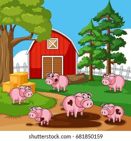 Pigs in muddy puddles on the farm illustration