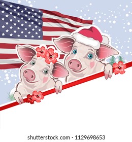 Сouple of pigs in a New Year's cap with the American flag, vector illustration