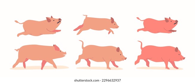 Pigs Are Omnivorous Farm Mammals with Stout Bodies, Short Legs, Snouts, And Curly Tails. Fast And Playful Piglets Racing