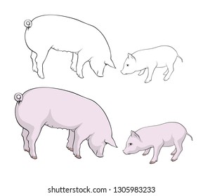 Pigs. Pig and piglet are eating. Vector illustration