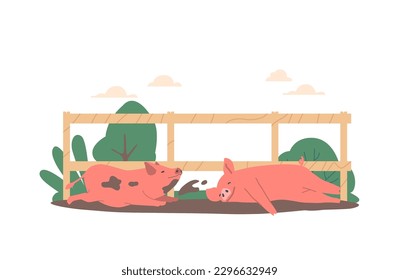 Pigs Relaxing In Mud Enjoying Their Natural Habitat, These Intelligent Animals Use Mud To Cool Off And Protect Skin