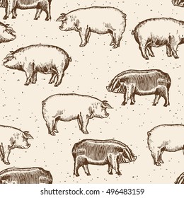 Pigs seamless pattern farm pigs hand drawn vintage vector