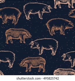 Pigs seamless pattern pig farm background hand drawn vector 