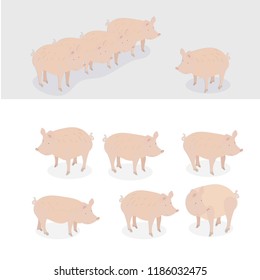 Pigs Set Flatvector Design Elements Stock Vector (Royalty Free ...