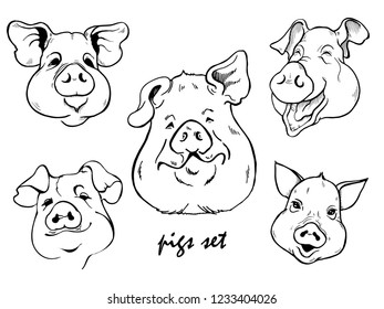 pigs set, several portraits of pigs, black and white graphic vector illustration