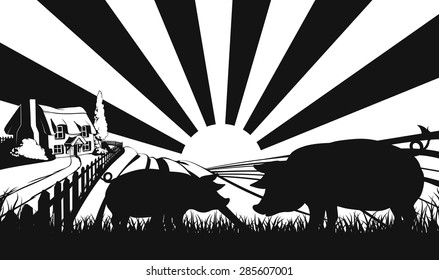 Pigs in silhouette standing in the foreground and an a farm house thatched cottage in an idyllic landscape of rolling hills with sunrise in the background