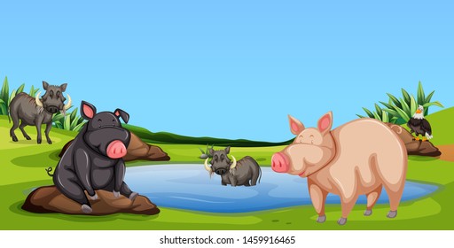 Pigs surrounding a pond during the 	day illustration