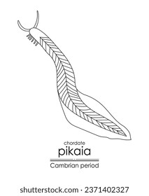 Pikaia, a Cambrian period creature, a primitive chordate, black and white line art illustration. Ideal for both coloring and educational purposes