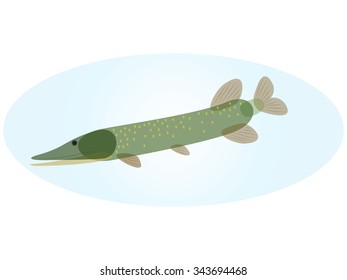 Pike
