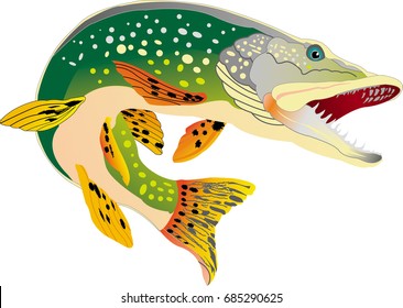 Pike