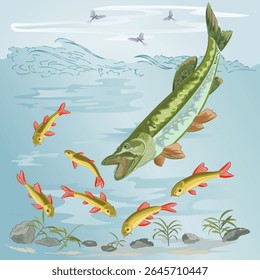 Pike catching small fish in a rapid river stream watercolor vintage vector illustration editable hand drawing