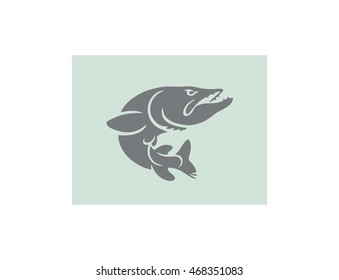 pike fish