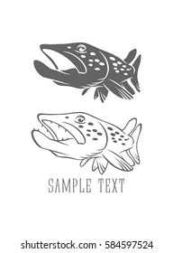 pike fish