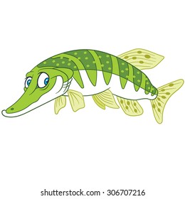 Pike fish. Cartoon character isolated on white background. Colorful design for kids activity book, coloring page, colouring picture. Vector illustration for children.
