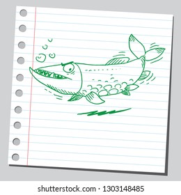 Pike fish (cartoon style drawing)