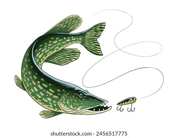 Pike Fish Catching Fishing Bait Illustration
