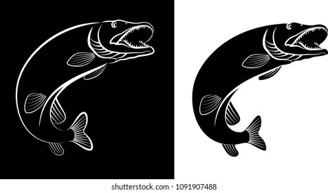 pike fish - clip art illustration
