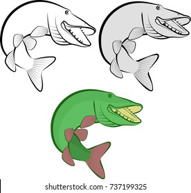 pike fish - clip art illustration
