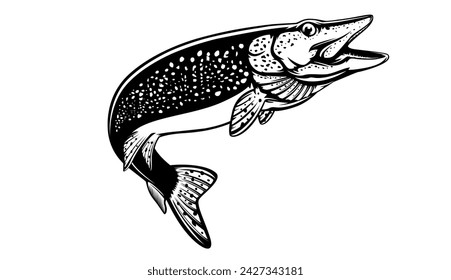 Pike fish fishing emblem. Isolated detailed pike vector logo. Handdrawn fishing theme. 