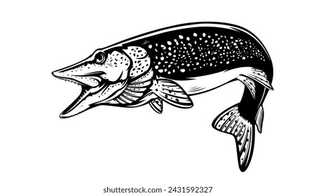 Pike fish fishing emblem. Isolated detailed pike vector logo. Handdrawn fishing theme. 