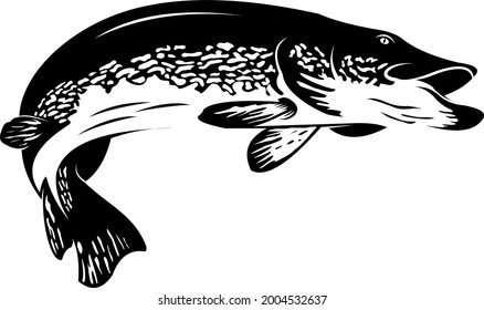 PIKE FISH FOR FISHING LOGO COMPANY