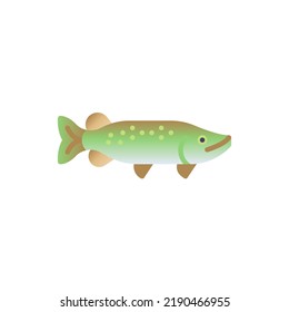 Pike fish flat icon, vector sign, colorful pictogram isolated on white. Symbol, logo illustration. Flat style design