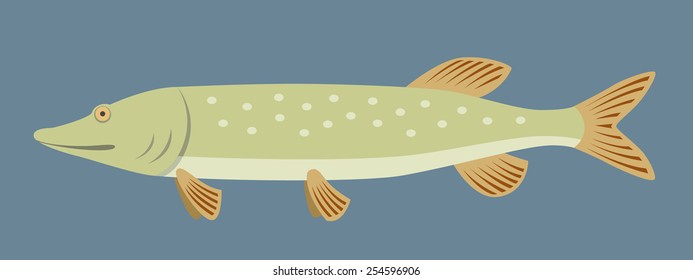 Pike Fish In Flat Style