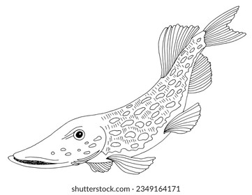 Pike fish graphic black white isolated illustration vector