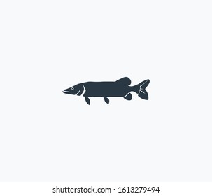 Pike fish icon isolated on clean background. Pike fish icon concept drawing icon in modern style. Vector illustration for your web mobile logo app UI design.