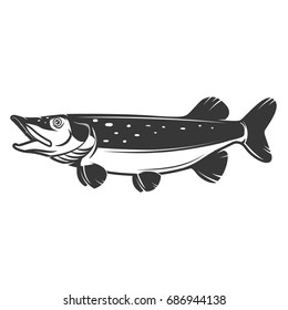 Pike fish icon isolated on white background. Design elements for logo, label, emblem, sign, badge. Vector illustration