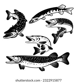 Pike fish icons. Design elements for fishing club or team. Seafood. Vector illustration.