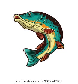 pike fish illustration vector design