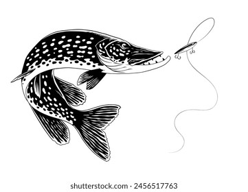 Pike Fish Illustration in Vintage Hand Drawn Style