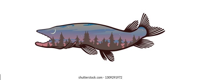 pike fish image