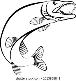 pike fish - line art illustration
