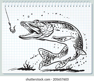 Pike fish and lure 