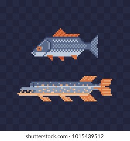 Pike Fish. Pixel Art Fishes Icon Set.  Video Game Sprite. Isolated Vector Illustration. 