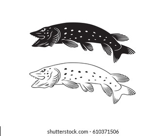 pike fish set